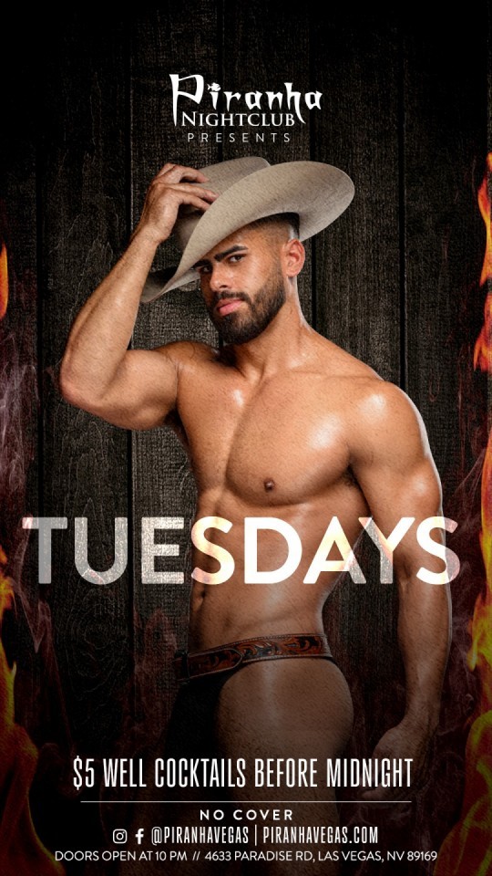 2026-02-16 - 02 - Vaquero Vaquero